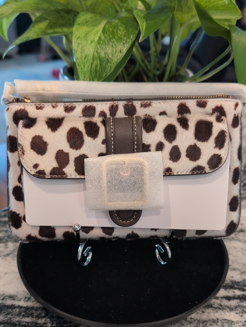 Coach Ashton Ponyhair Leopard Print Wristlet